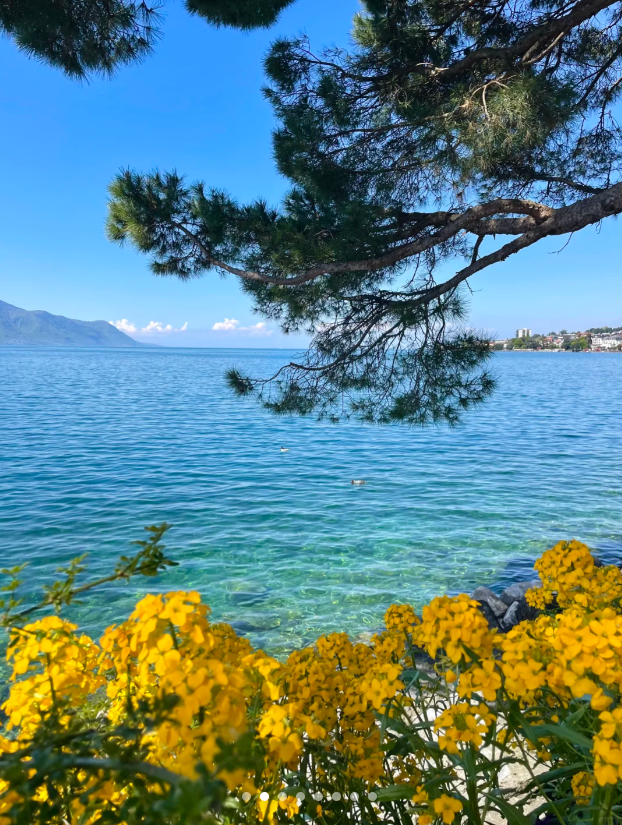 1 7 Montreux, Switzerland: 7 Unforgettable Things to Do (2025 Guide)