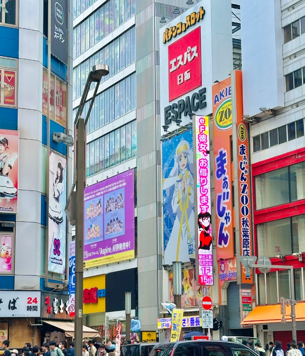 Akihabara real shot