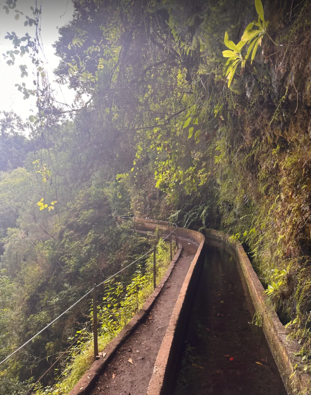 The unique Levada Trail on Madeira Island