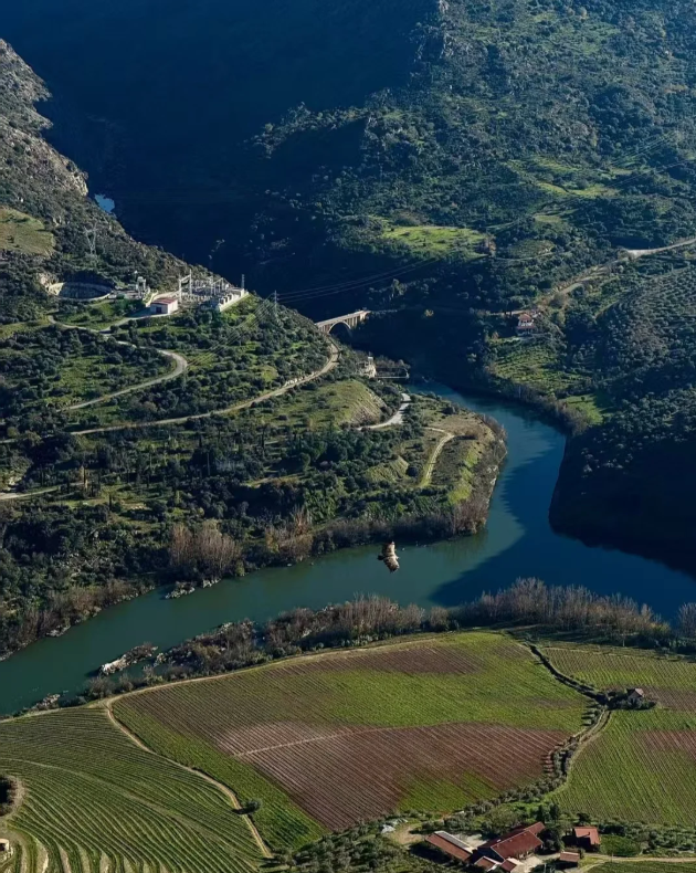 Terraced Fields in the Douro River Valley